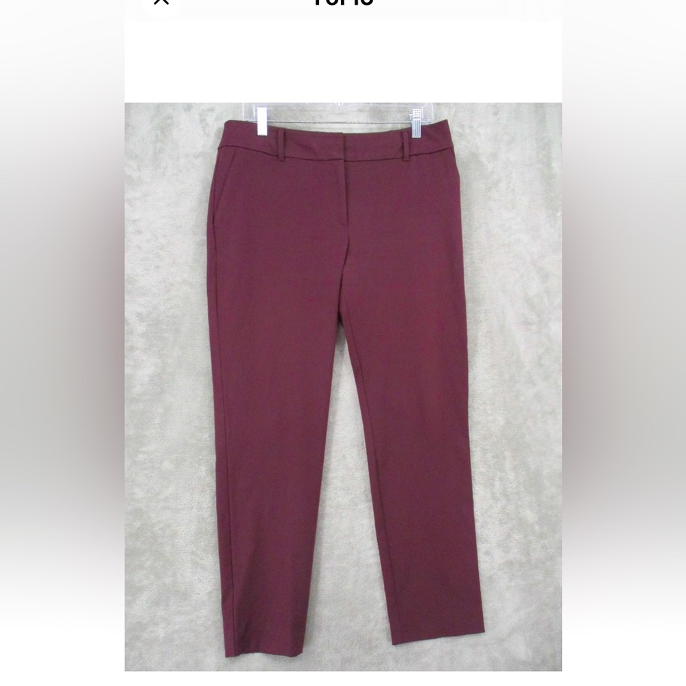 Ann Taylor Burgundy Pants